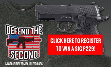 Stand and Fight and Win a SIG P229!
