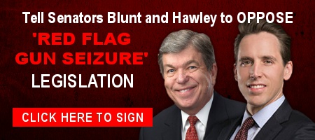 More Republican Senators Backing ‘Red Flags’ — Act Now!