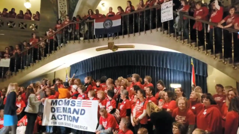 Hundreds of Gun Grabbers Hit the Capitol! Fight Back!
