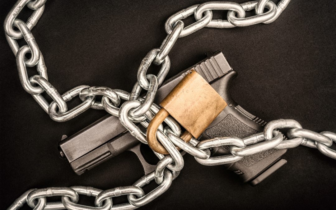 200 More Agents to Enforce Gun Control!