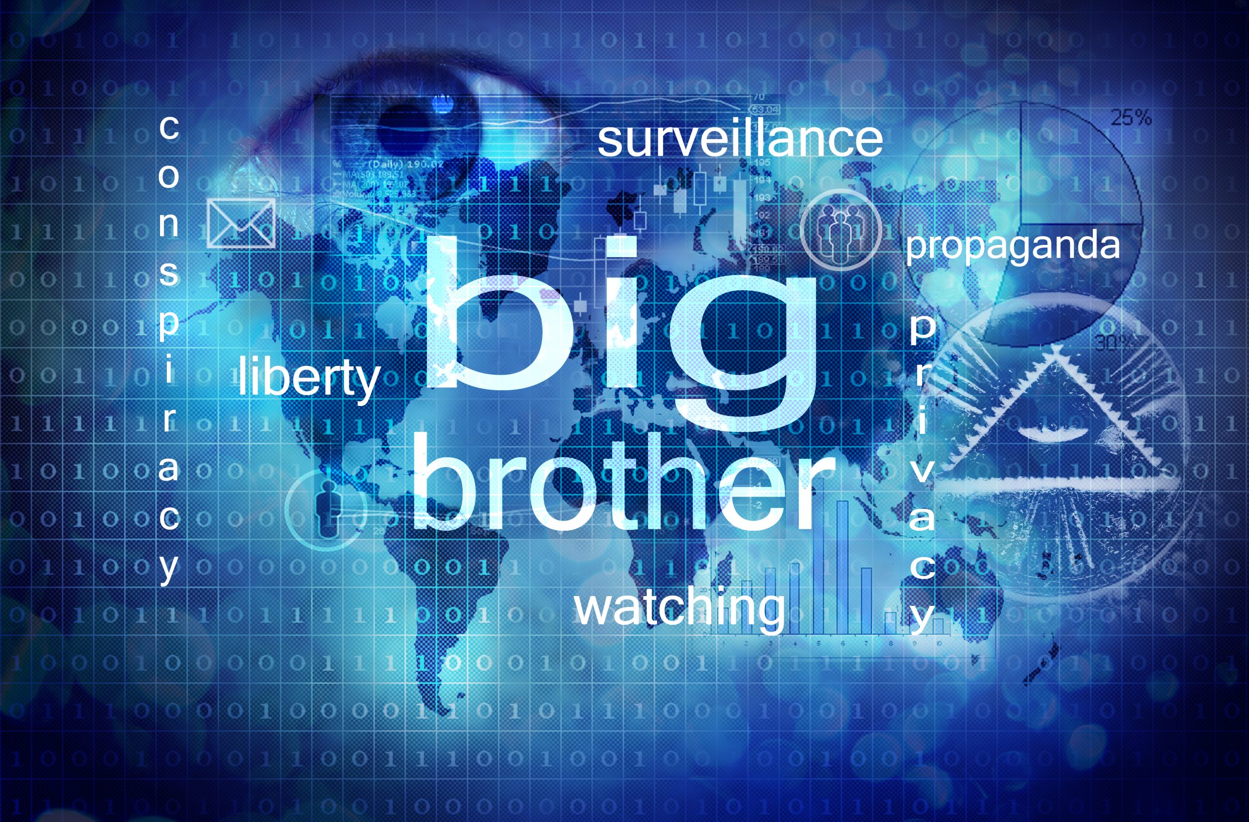 Big,Brother,Is,Watching,You