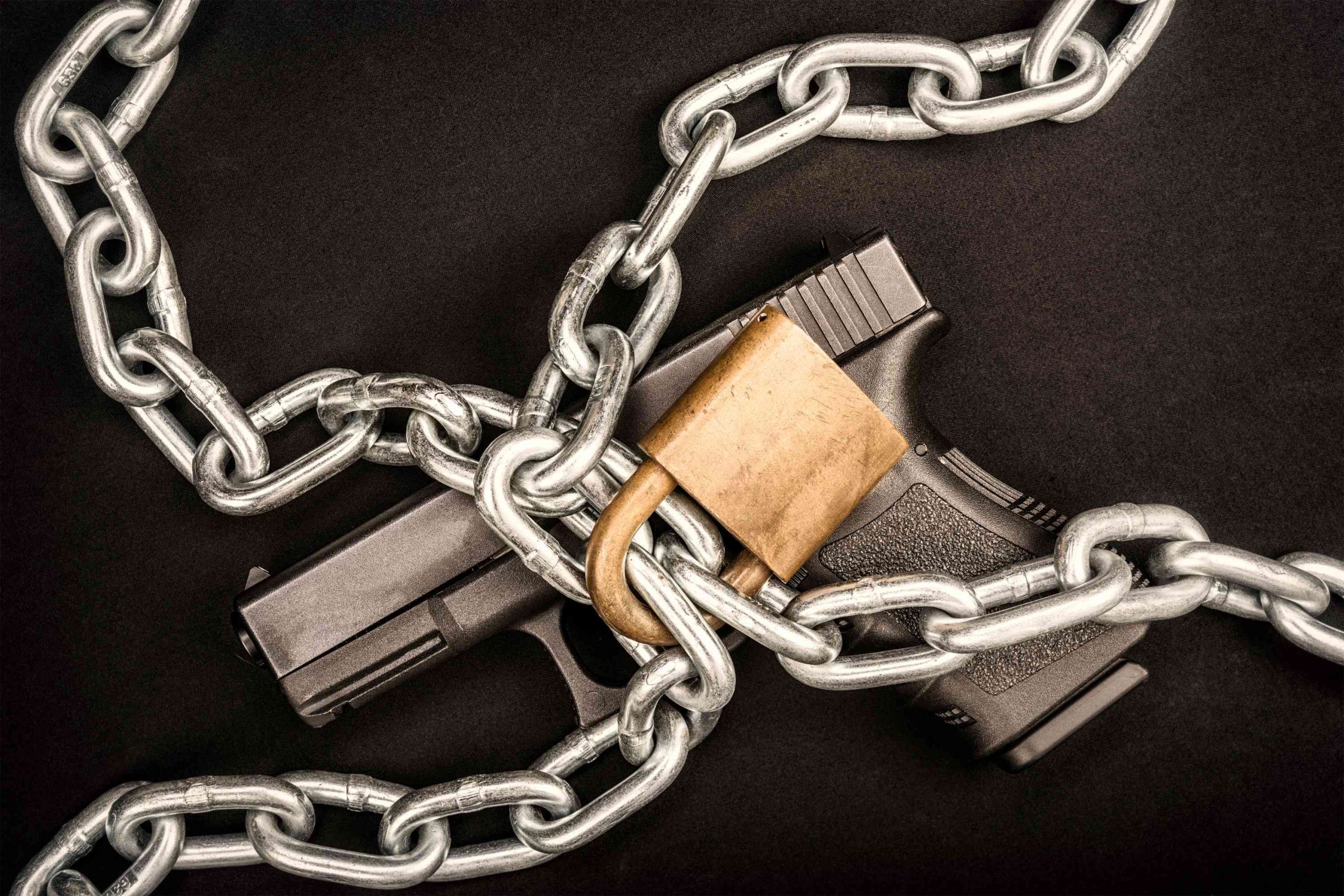 gun lock 2