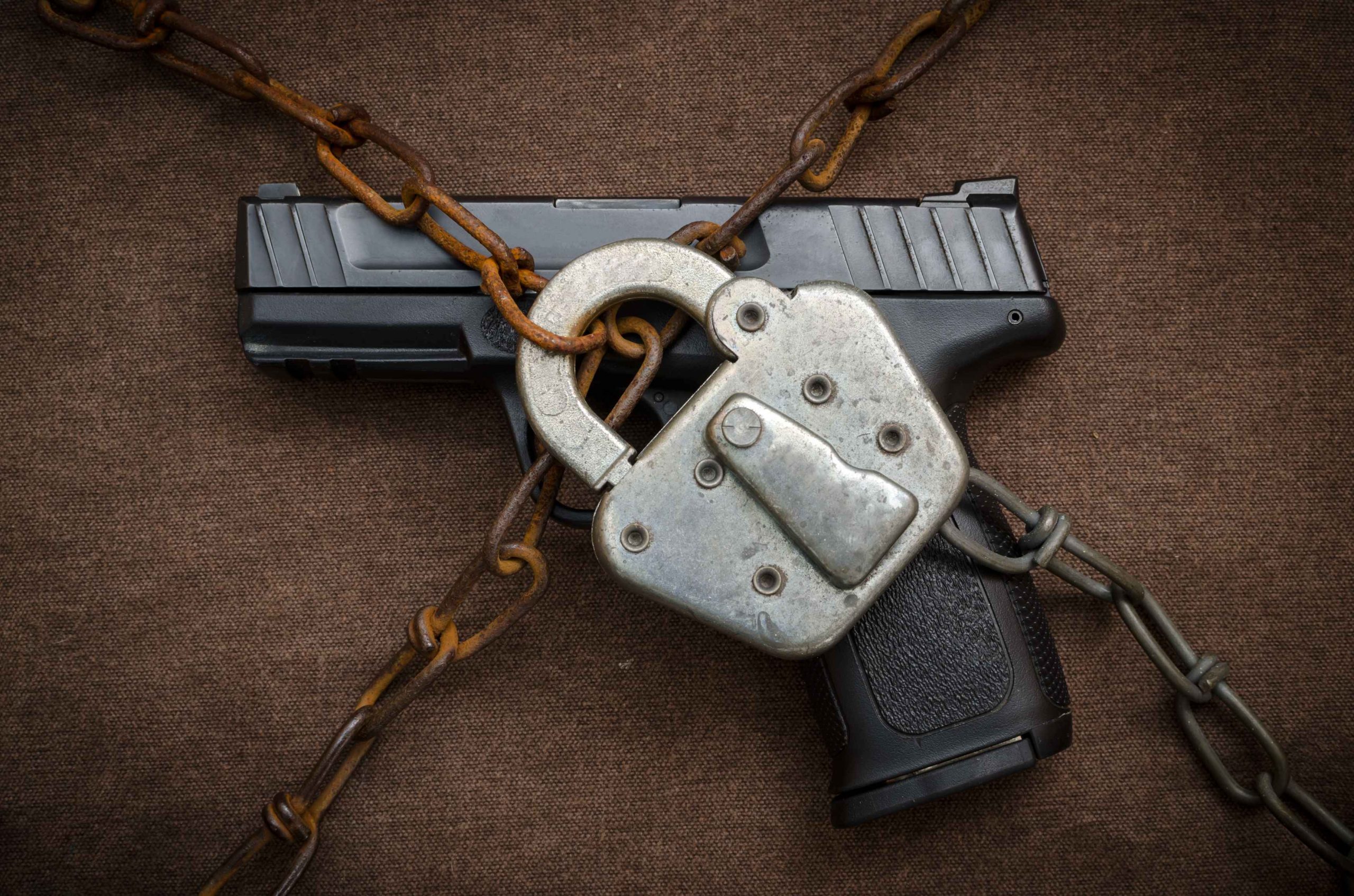 gun lock