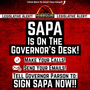 Share These Memes to Help Us Pass SAPA!