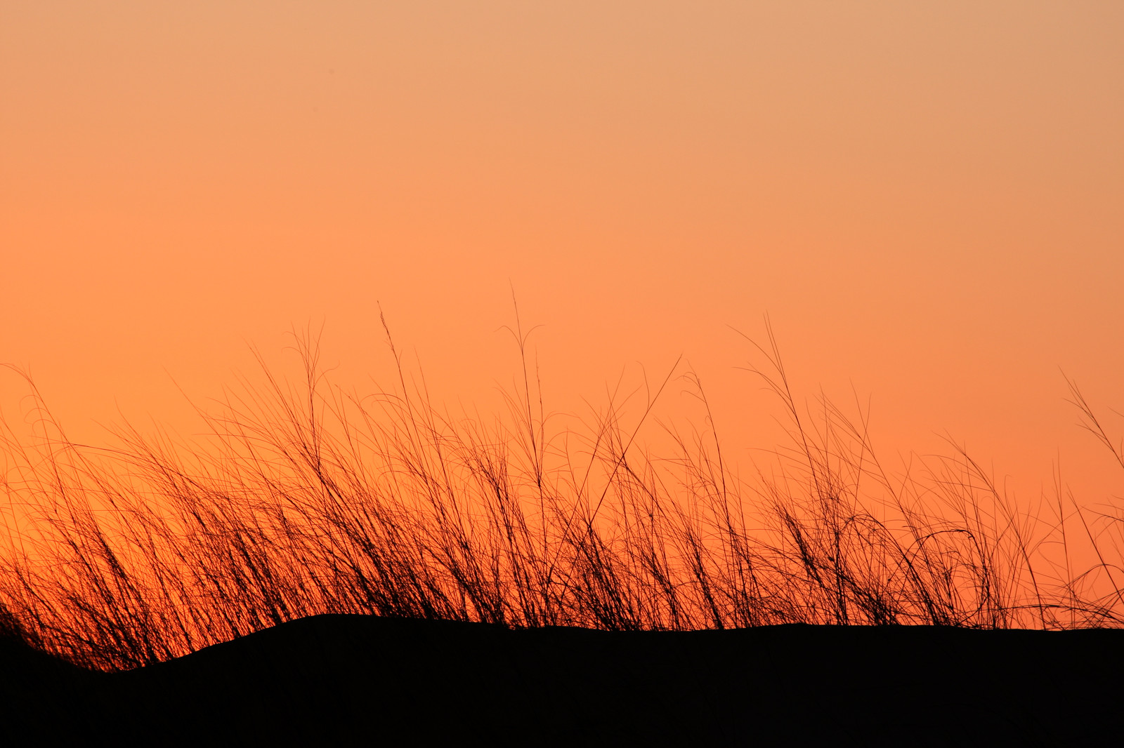 canstockphoto0715432