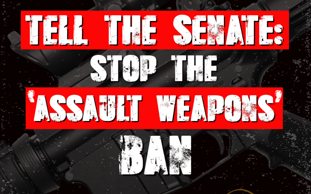 ‘Assault Weapons Ban’ is Their Top Priority!