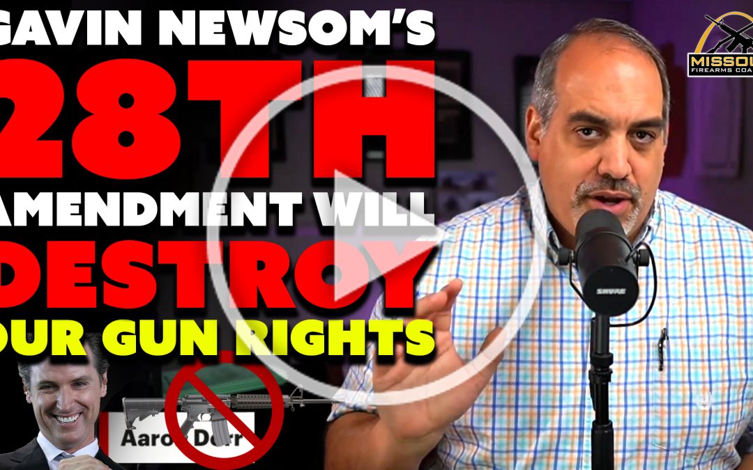Dangerous: Gov. Newsom Reveals Plans for 28th Amendment!