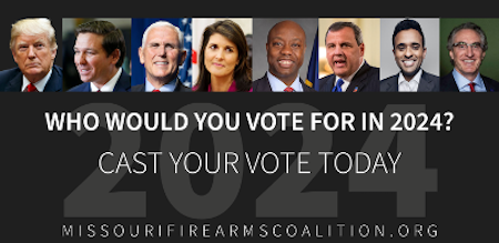 Vote In Our Presidential Poll!